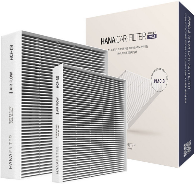 하나필터 PM0.3 카니발 4세대 에어컨 필터 전면 + 후면, HCF-09(전면), HCF-30(후면), 1세트