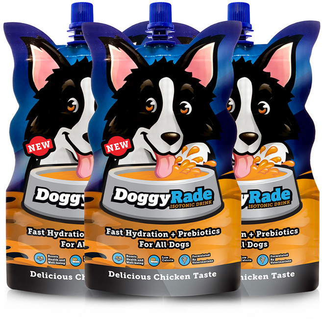 도기레이드 강아지 액상 영양제, 장건강/유산균, 250ml, 3개