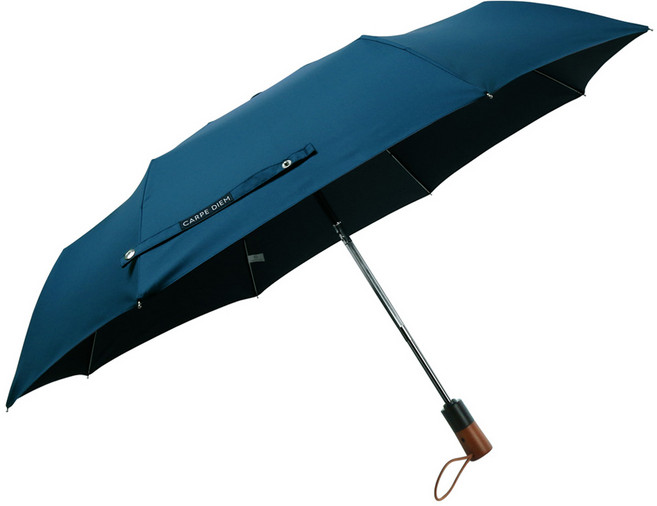 카르페디엠 어반 3단완전자동우산