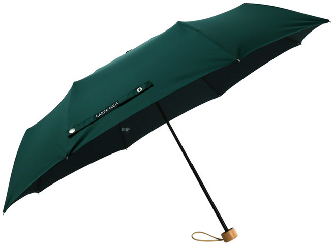 카르페디엠 위티 3단수동우산