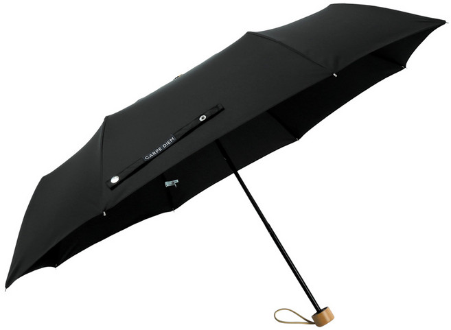 카르페디엠 위티 3단수동우산