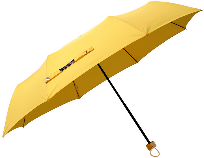 카르페디엠 위티 3단수동우산