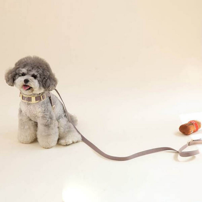 힛찌 강아지 초경량 리드줄 버클, 코코아브라운, 1개