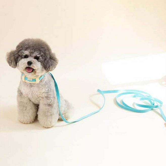 힛찌 강아지 초경량 리드줄 버클, 터키쉬블루, 1개