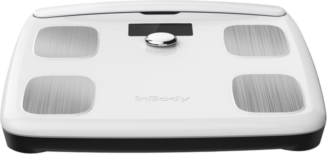 인바디 NEW 가정용 체지방계 InBodyFit, 화이트, 1개