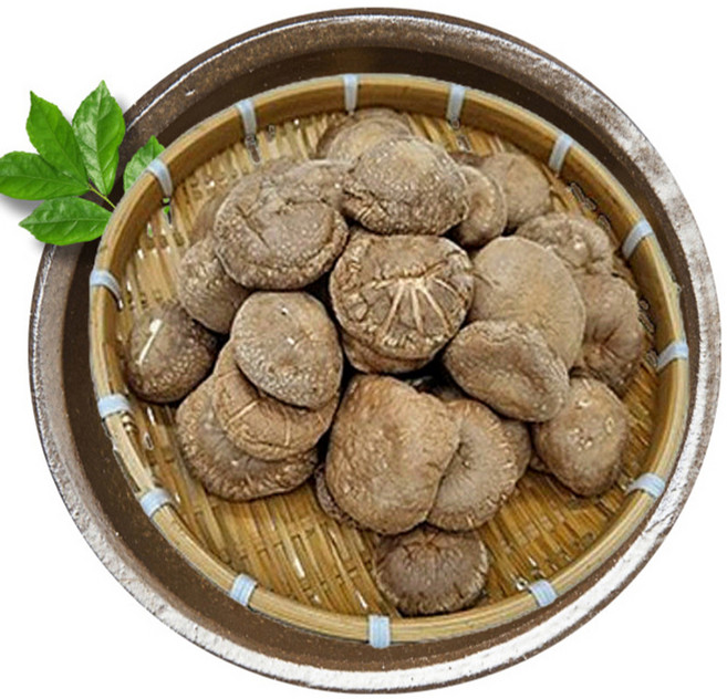 그린그로브 국내산 건표고버섯, 100g, 1개