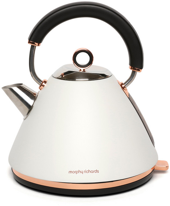 모피리처드 엑센트 전기포트 화이트, 102026