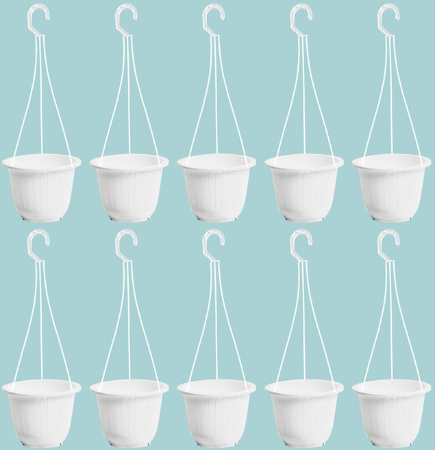 화분월드 미니 초화걸이화분, 화이트, 10개