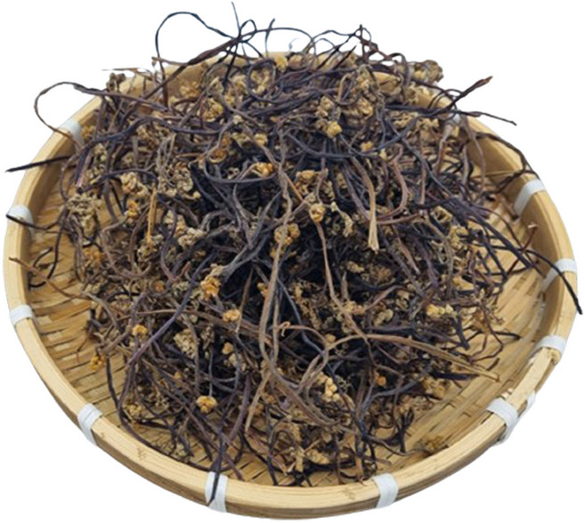 썬앤지 건고사리, 50g, 1개