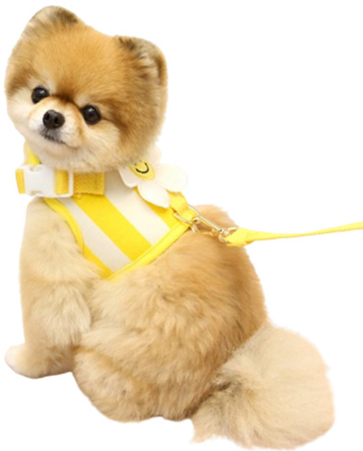 이츠독 강아지 스마일 데이지 하네스, 옐로우, 1개