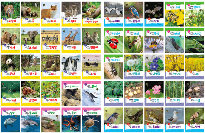 기탄자연관찰전집 슬림형판 전 50권, 기탄교육