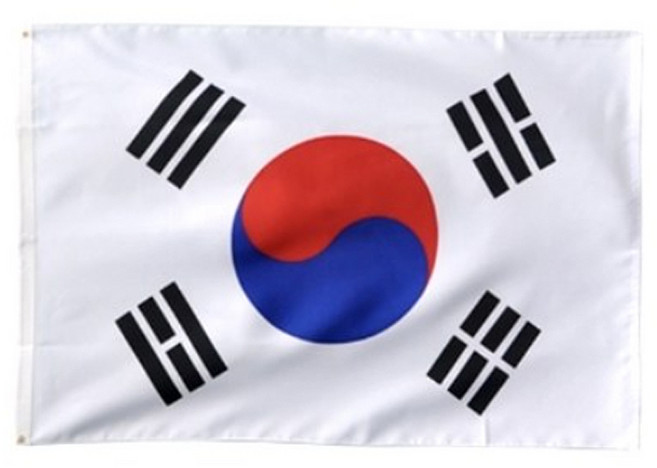 파티공구 태극기 7호 90 x 135 cm, 혼합색상, 1개