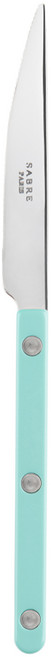 사브르 비스트로 샤이니 파스텔 샐러드 나이프, 파스텔 그린, 1개