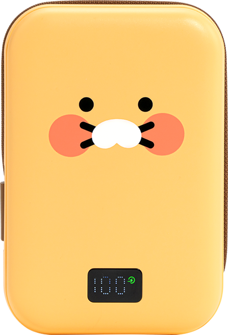 카카오프렌즈 케이블형 맥세이프 보조배터리 20000mAh C타입 / USB A타입, 춘식이