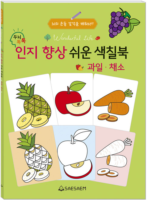 시니어 인지향상 쉬운색칠북 과일&채소, 편집부, 도서출판새샘