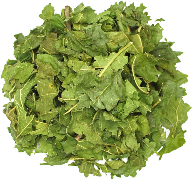 푸드씨 국내산 뽕잎 상엽, 400g, 1개