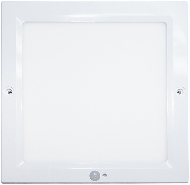 우리조명 장수 LED 엣지 센서등 20W, 주광색, 1개