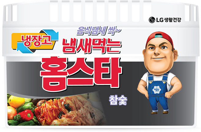 홈스타 냄새먹는 냉장고용 탈취제 참숯 본품, 420g, 1개
