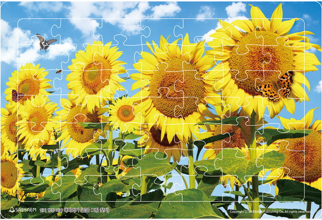 인지향상퍼즐 해바라기 같은그림찾기, 새샘