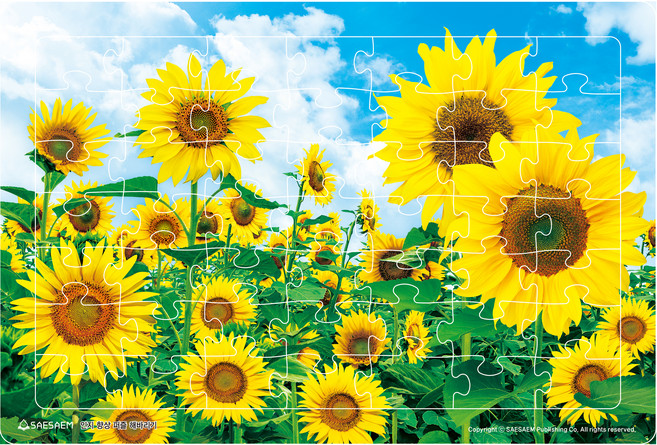 인지향상퍼즐 해바라기 연산, 편집부, 도서출판새샘