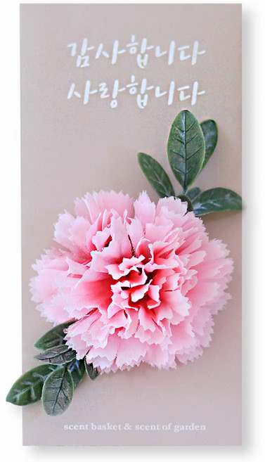 센트바스켓 어버이날 감사 카네이션 용돈봉투 케이스 세트, 핑크, 1세트