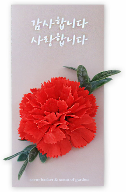 센트바스켓 어버이날 감사 카네이션 용돈봉투 케이스 세트, 레드, 1세트