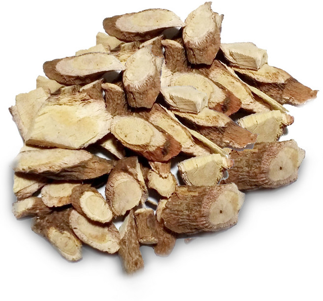 푸드씨 송담 소나무 담쟁이, 500g, 1개