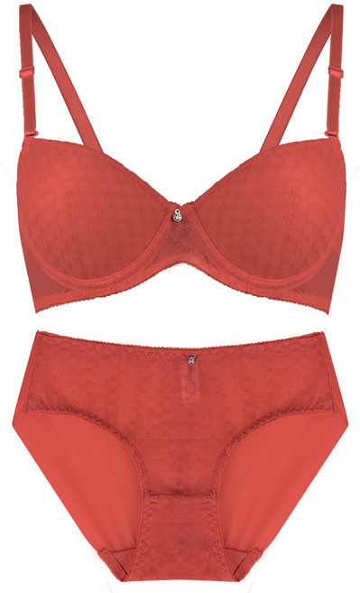 볼리쉬 매쉬 레이스 브라 팬티 세트 1040S