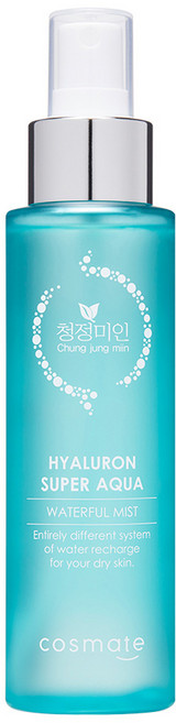 청정미인 히아루론 수퍼 아쿠아 워터풀 미스트, 120ml, 1개