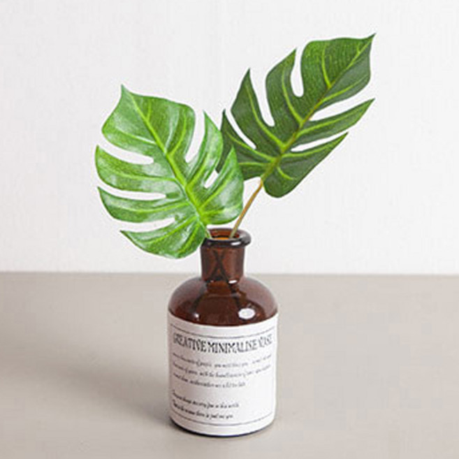 플라워트리 레터링 그린화병 세트, 몬스테라