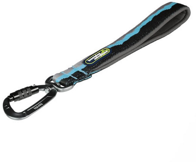 분독 반려동물 어드벤처 트래픽리쉬, 블루, 1개