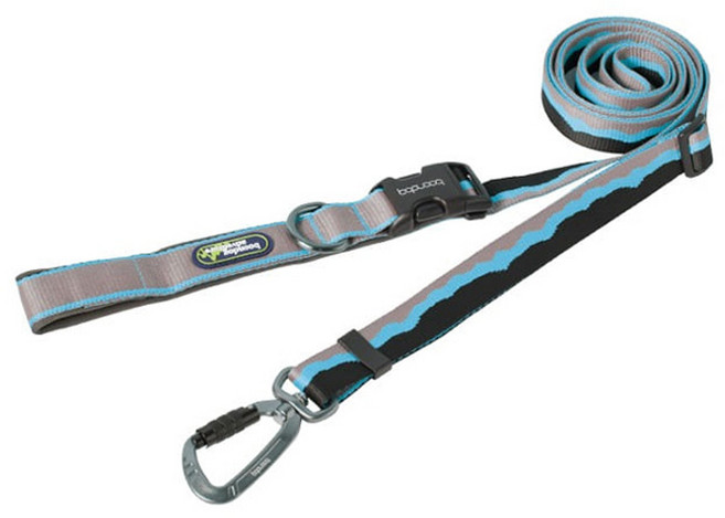 분독 반려동물 어드벤처 하이브리드 리쉬, 블루, 1개