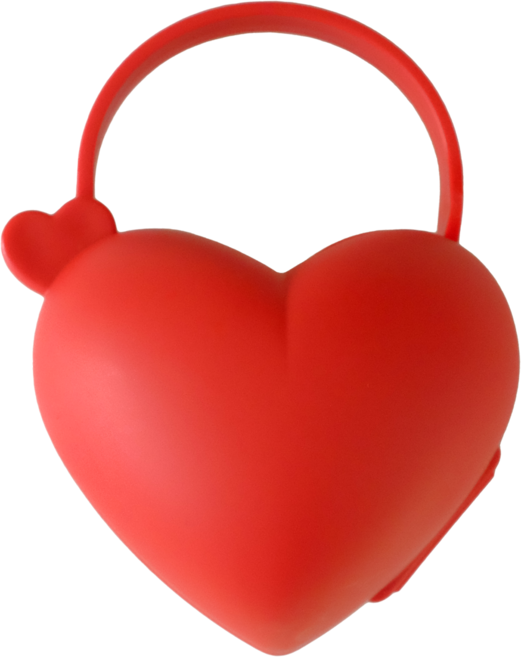 티지엠 국산 하트 노리개 젖꼭지 위생 보관 케이스, 베리레드, 1개