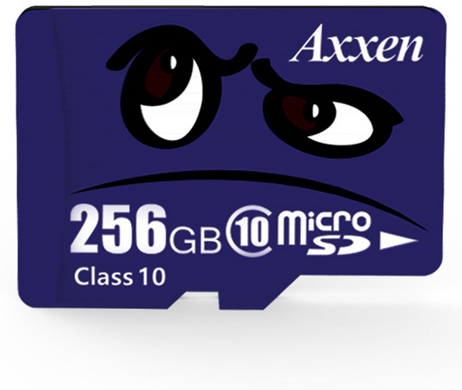 액센 프리미엄 캐릭터 마이크로 SD카드, 256GB, 1개