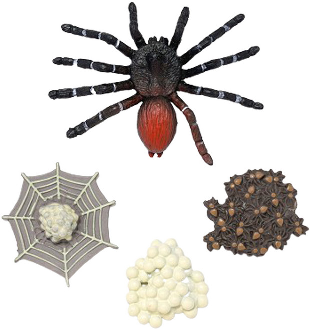 minhwashop 昆蟲生命週期成長公仔 蜘蛛 S230141D, 混和顏色, 10個