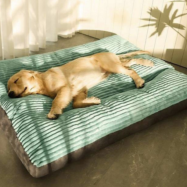 순잠 반려동물 쿠션방석, 챠콜, 1개