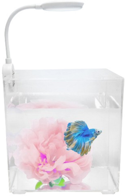 칸후아쿠아리움 블링블링 베타 꽃침대 어항 세트, 연핑크, 1세트