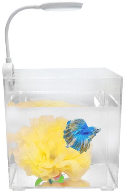 칸후아쿠아리움 블링블링 베타 어항 꽃 침대 세트, 연노랑, 1세트