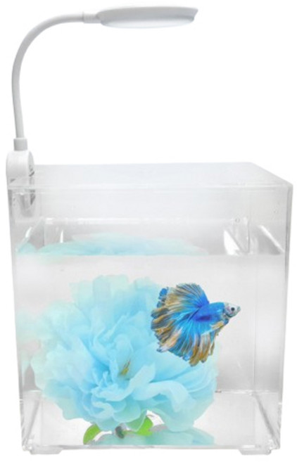 칸후아쿠아리움 블링블링 베타 꽃침대 어항 세트, 연하늘, 1세트