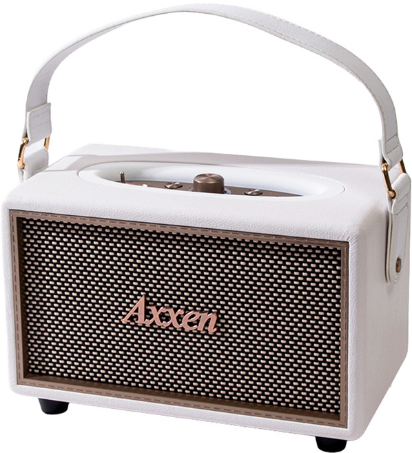 액센 클래식 레더 블루투스 스피커 40W, BS1000, 화이트