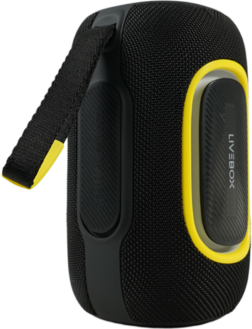 라이브박스 무선 캠핑 야외 매장 여행용 블루투스 스피커, BS2020B, 블랙