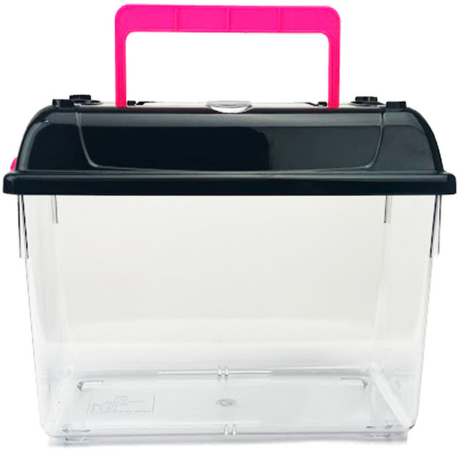 아마존 채집통 대형, 블랙 + 핑크, 1개