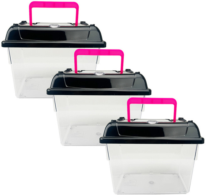 아마존 사각 채집통 중형, 블랙 + 핑크, 3개
