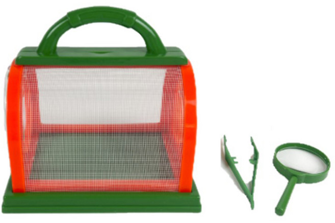 아이비스 곤충 채집 세트 그린, 1세트