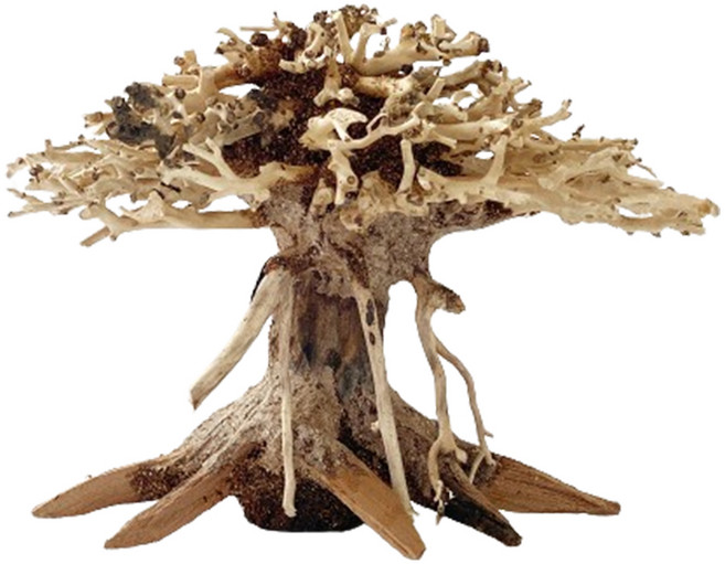 KD 모스트리 분재 유목 수조장식, 1개