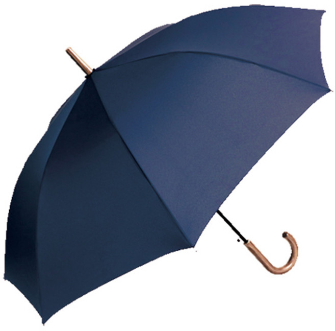 모닝글로리 MG 패션 기본형 자동 장우산