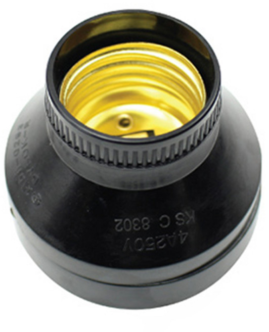 코텍스 리셉터클, 1개