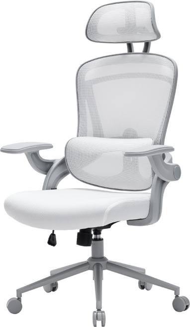 누하스 사무용 의자 N20 방문설치, 화이트