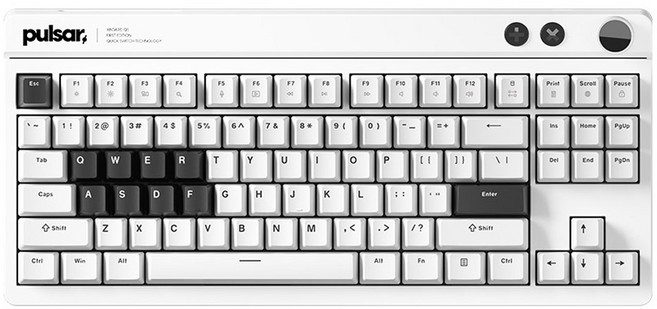 펄사 Xboard QS 기계식 텐키리스 키보드, 화이트, PWKXBQS01, 아이스 민트 V2축