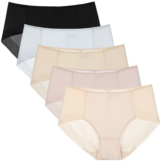판도라by비비안 여성용 통기성 스키니 노라인 맥시 햄팬티 5종 세트